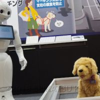 犬型ロボットは喋ることができないため、ひと目を引いた上でPepper（ペッパー）などの他のロボットに説明をさせるといった連携プレイが大事です。