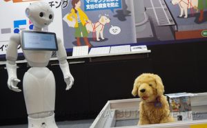 犬型ロボットは喋ることができないため、ひと目を引いた上でPepper（ペッパー）などの他のロボットに説明をさせるといった連携プレイが大事です。